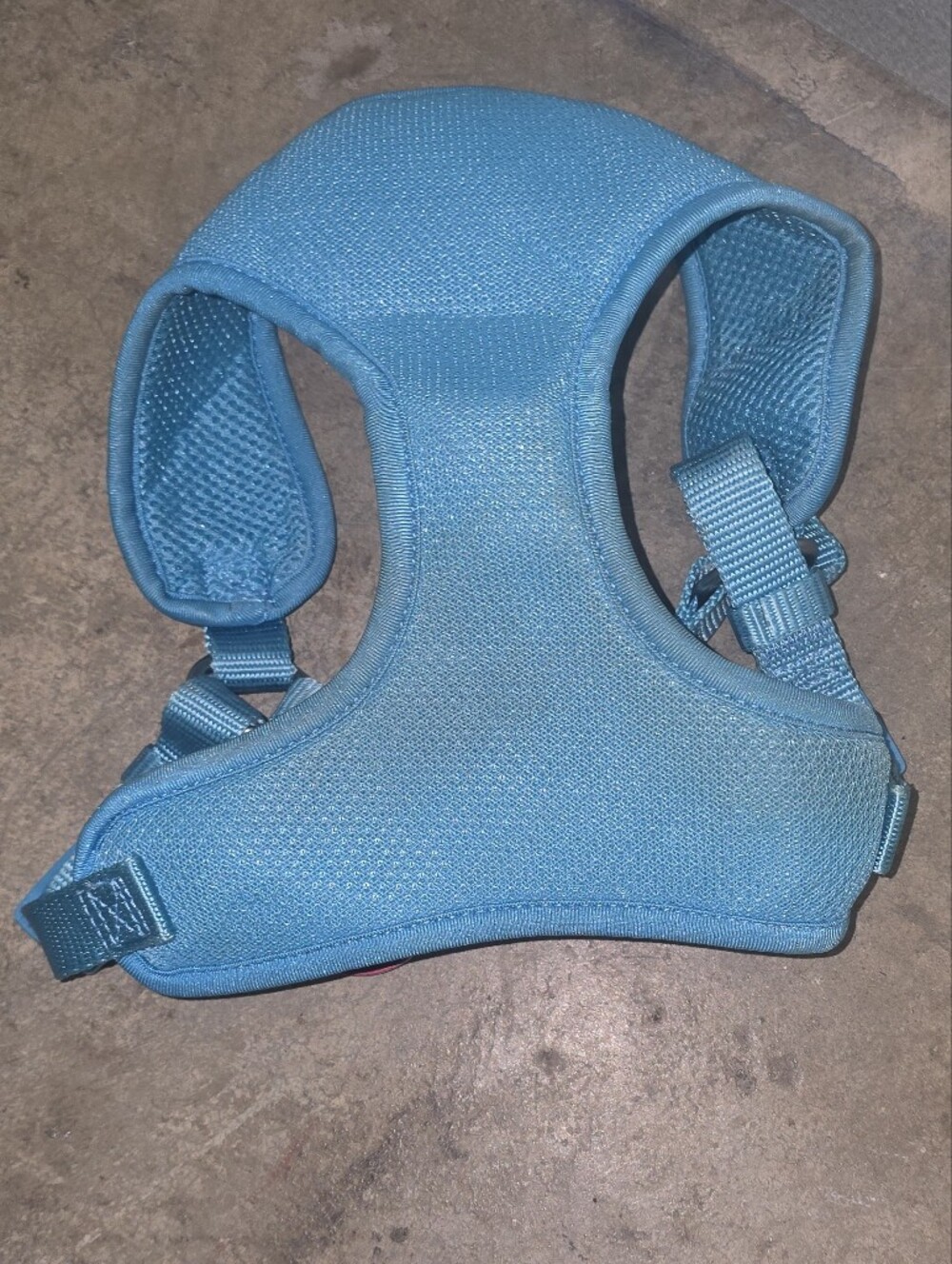 Light Teal Padded Dog Harness with Adjustable Straps